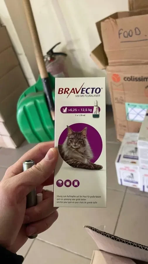 Бравекто для котів 2
