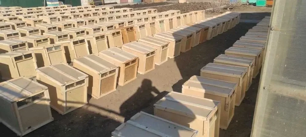 Бджолопакети !