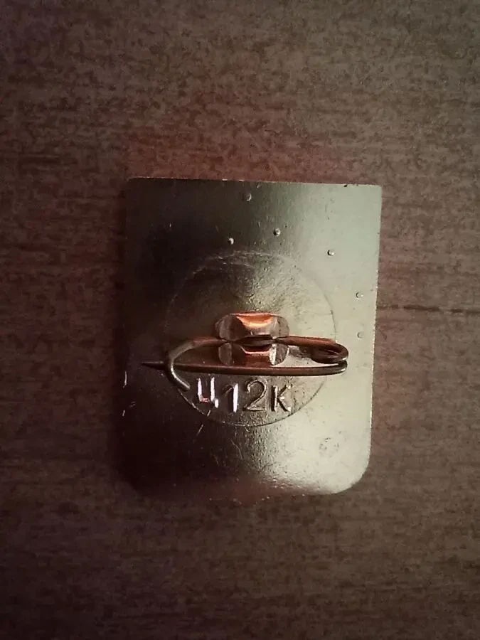 Значок - Трускавець (ссср). 3