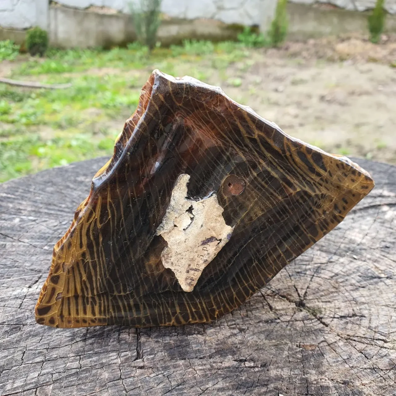 Фігурка дерев'яна на пеньку з грибами СССР 4