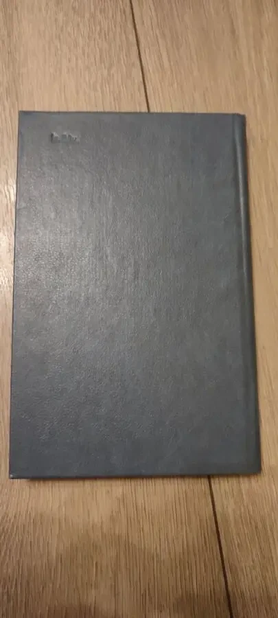 Синтио Витьер. Улица Бедной скалы 4