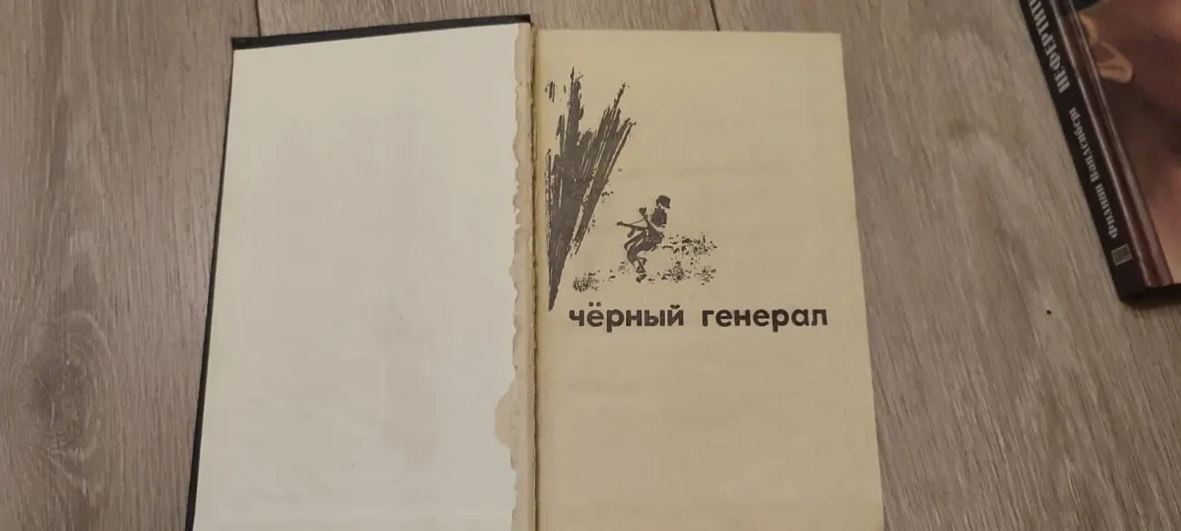 Генрих Гофман. Чёрный генерал 2