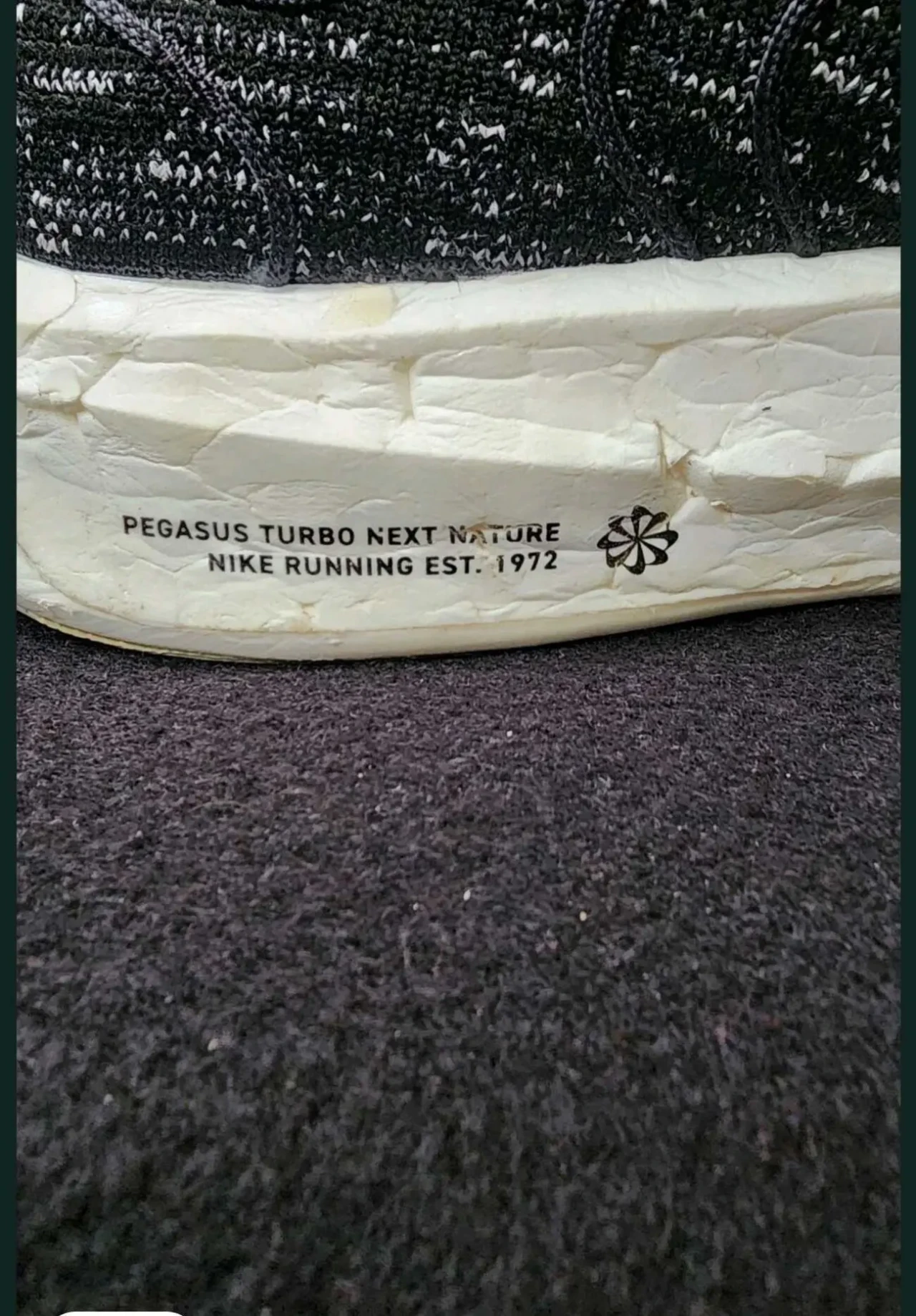 Nike pegasus turbo next nature 45 5