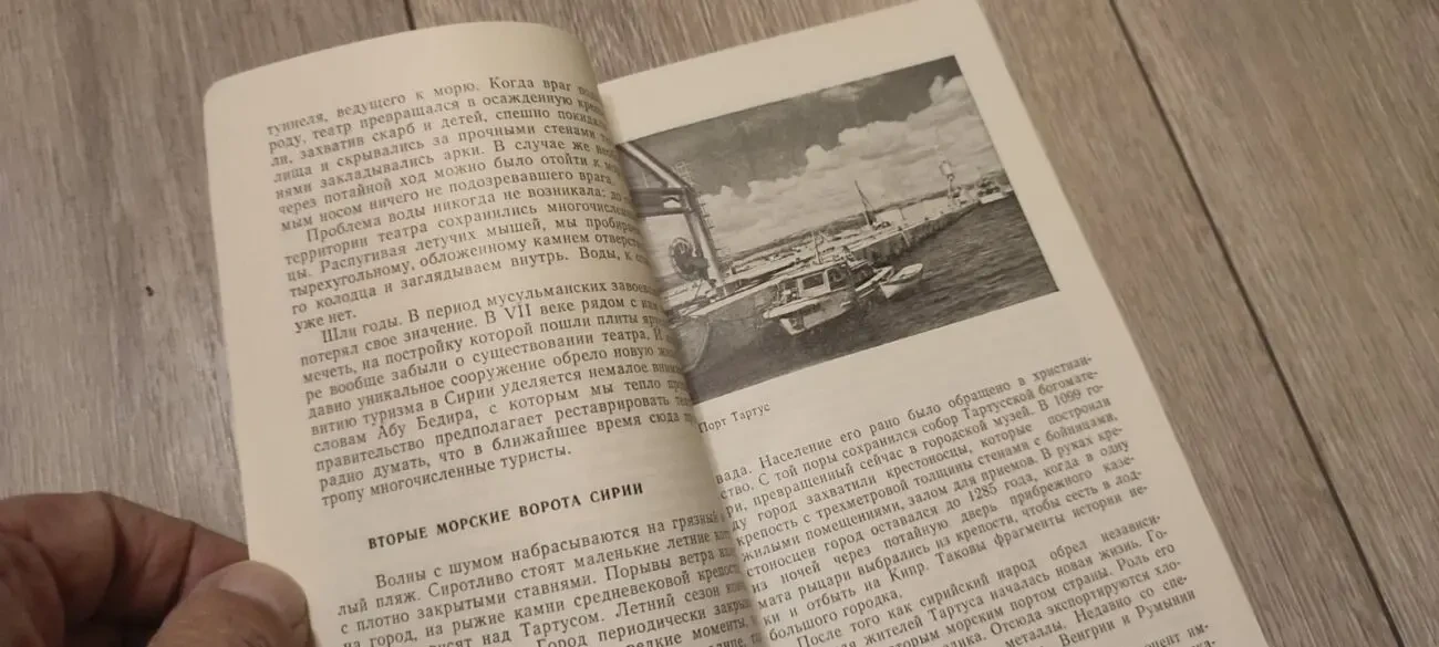 Ада Дружинина. Сирия старая и новая. 3