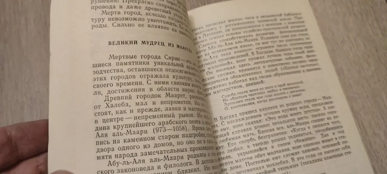Ада Дружинина. Сирия старая и новая. 4