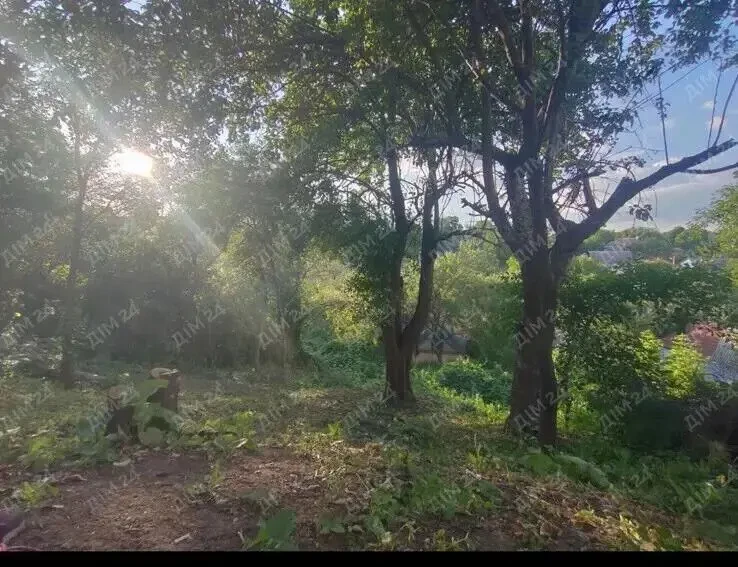 Супер пропозиція в центрі міста 6