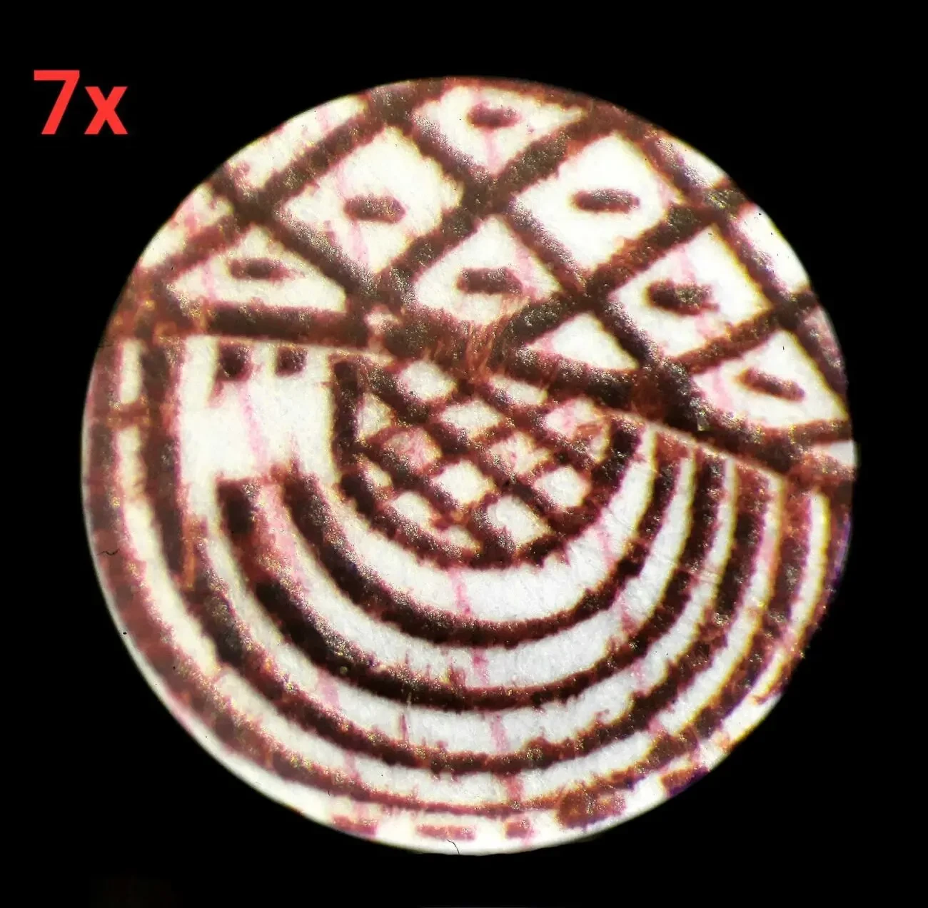 Мікроскоп МБС-1 10