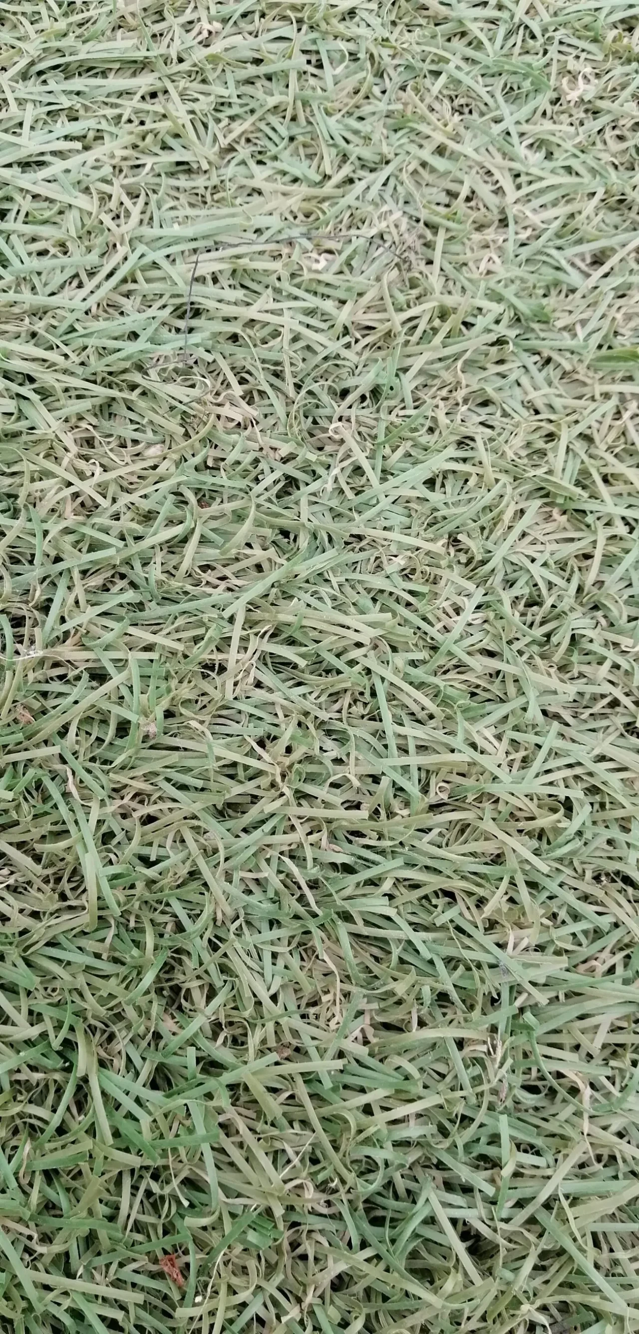 Штучна искусственная трава килим ковер 3