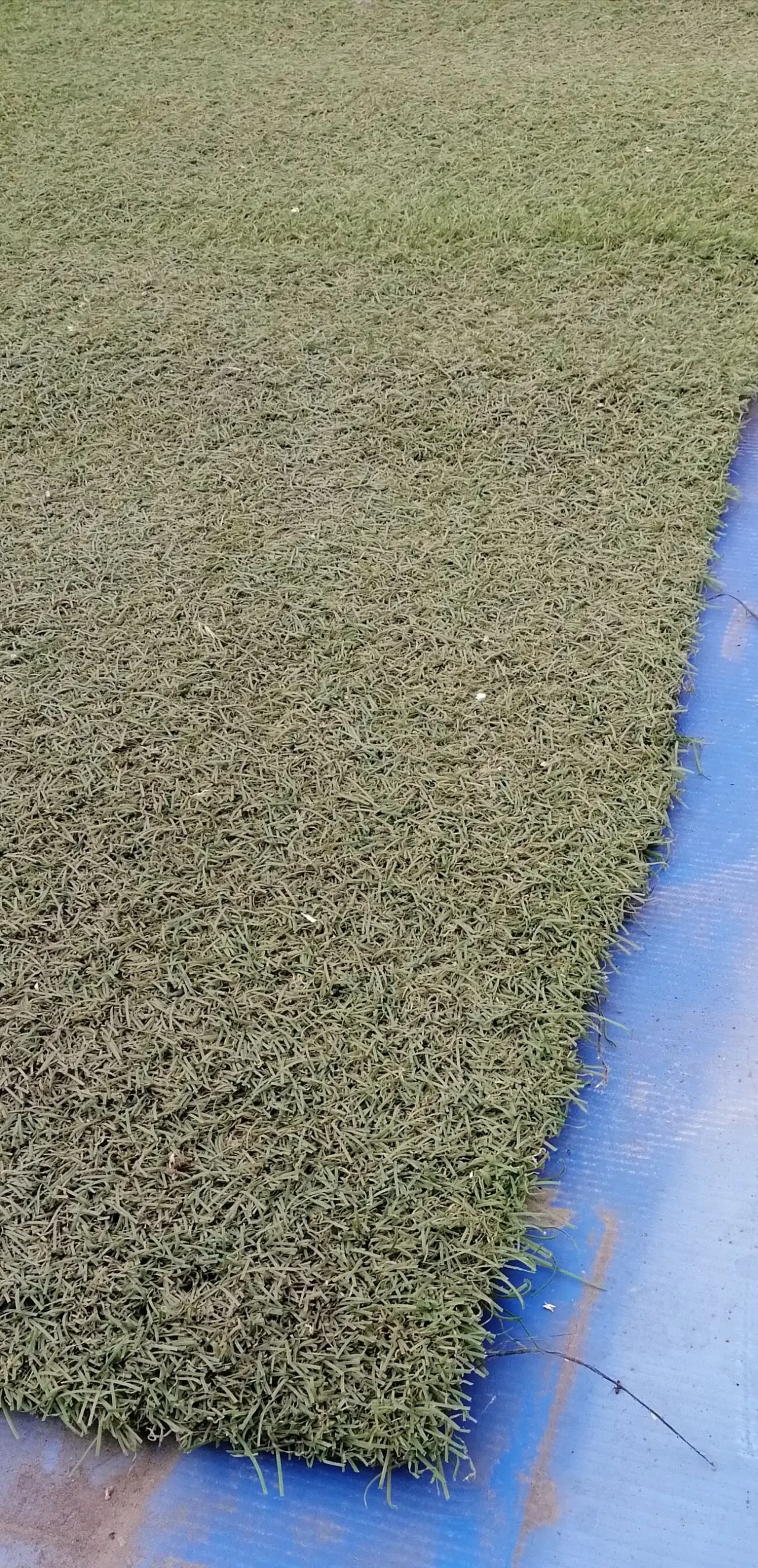 Штучна искусственная трава килим ковер 4