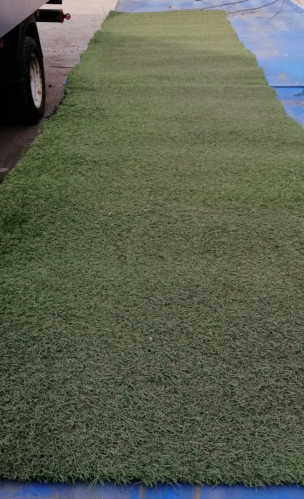 Штучна искусственная трава килим ковер 2