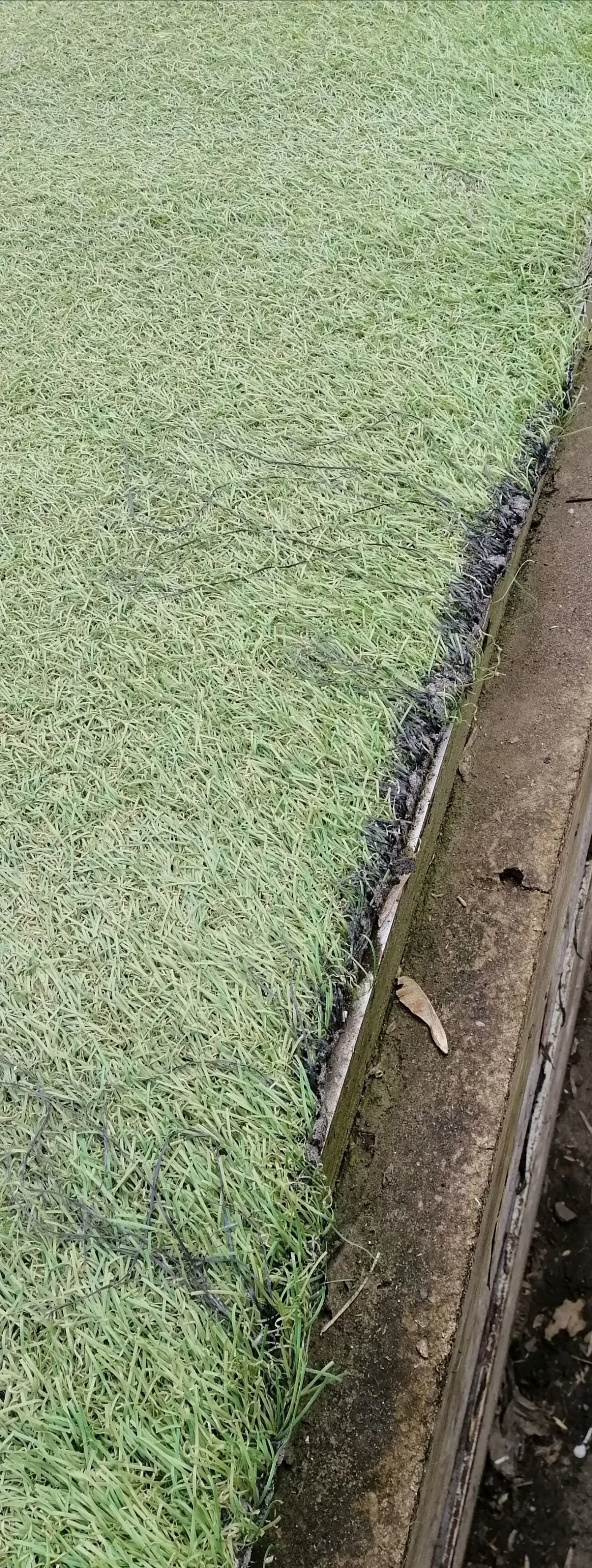 Штучна искусственная трава килим ковер 7