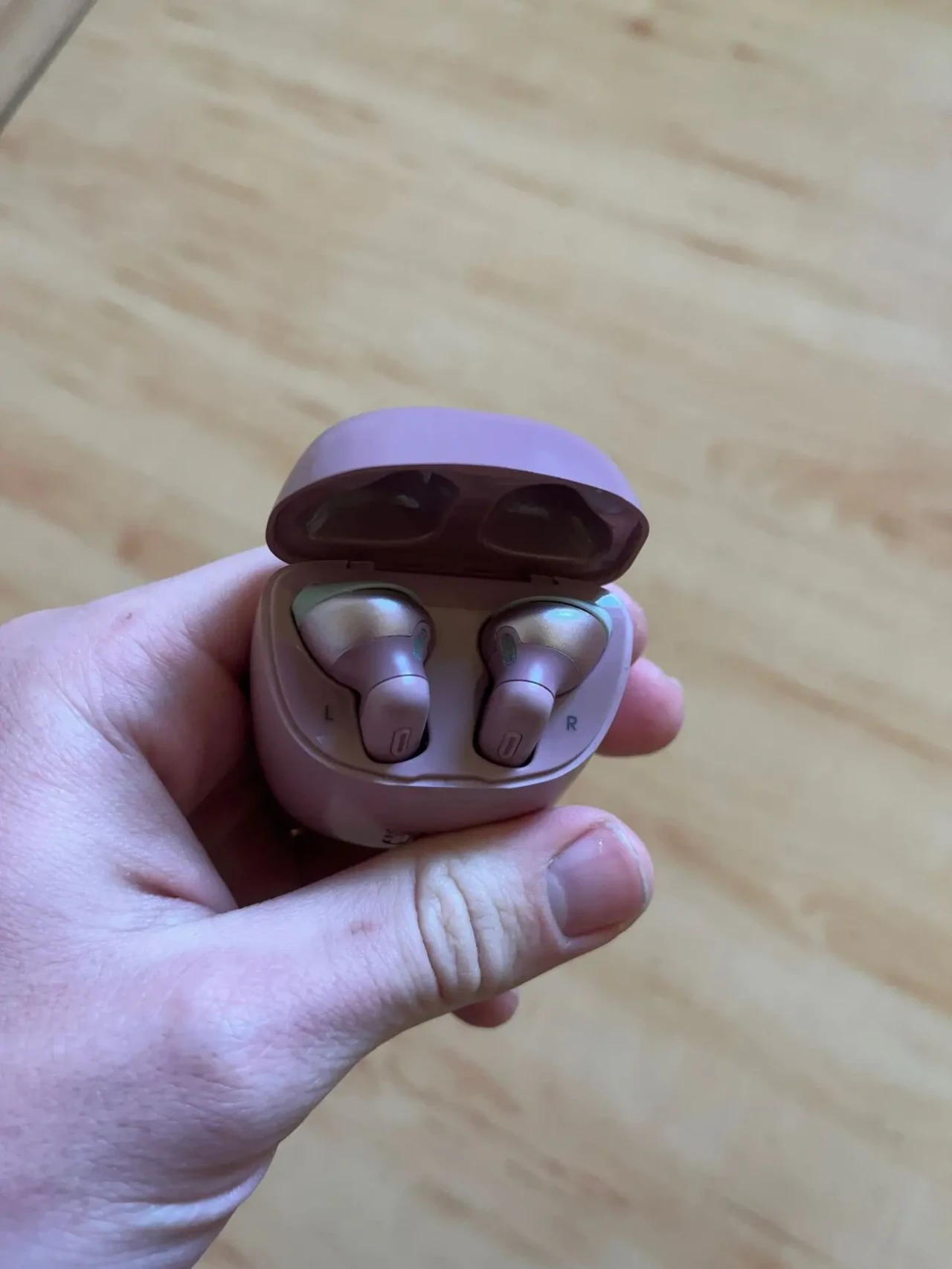 JBL 225 TWS бездротові навушники, робочі 2