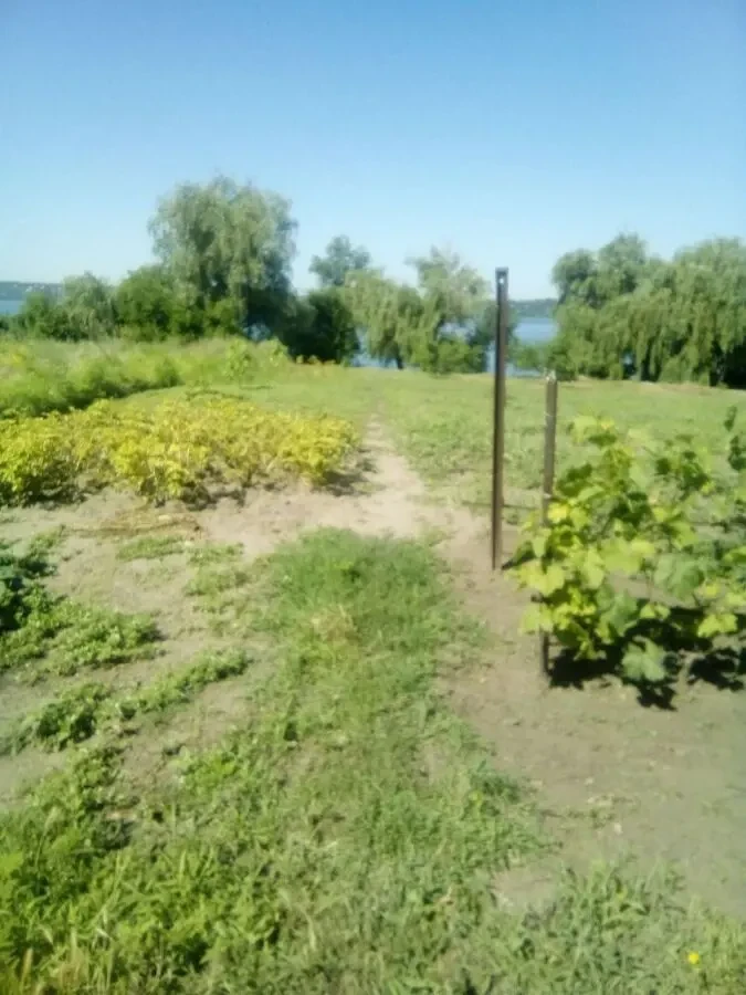 Продам будинок на березі Дніпра власний берег 25 соток землі 4