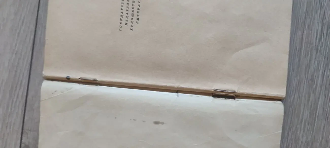 Теодор Драйзер Западня. 3