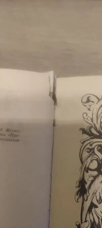 Морис Дрюон. Железный король. Узница Шато-Гайяра 3