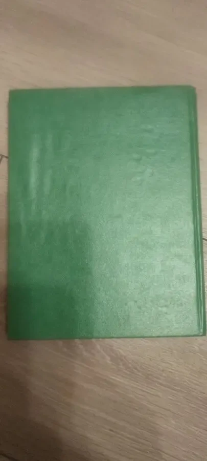 Ирина Васильева. Поэт Всеволода Рождественский 3