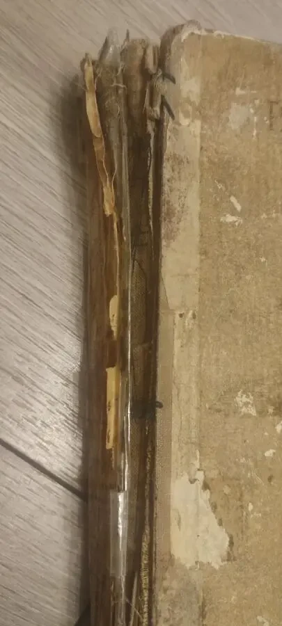 1954 Спартак. Рафаэлло Джованьоли 3