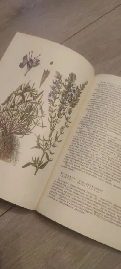 Лечение Растениями H. Г. Ковалёва 1972 г 6