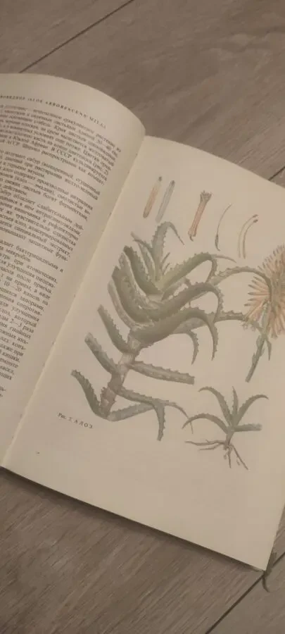 Лечение Растениями H. Г. Ковалёва 1972 г 5