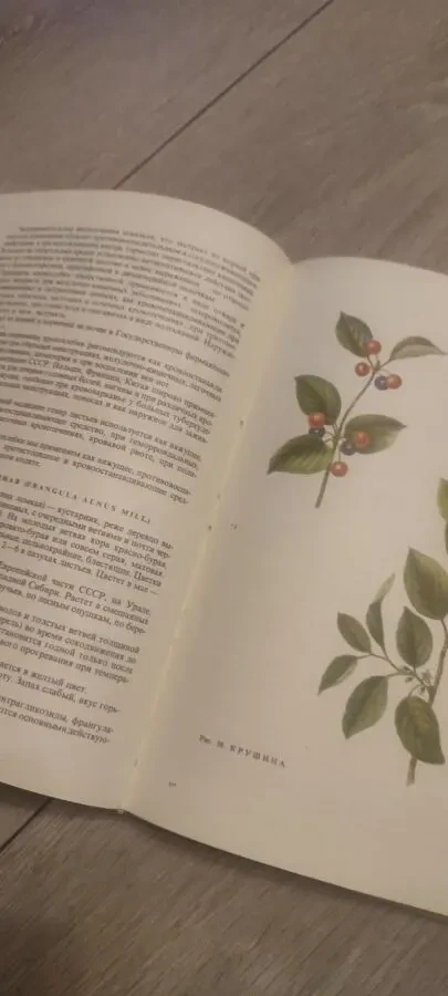 Лечение Растениями H. Г. Ковалёва 1972 г 7