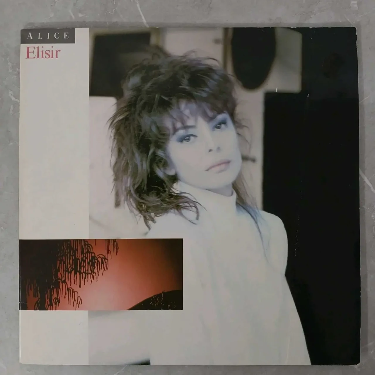 Платівки,ALICE,500грн. 3