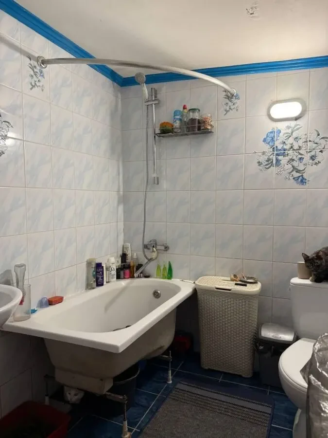 Продам дом в Приднепровске. Два дома на участке 9