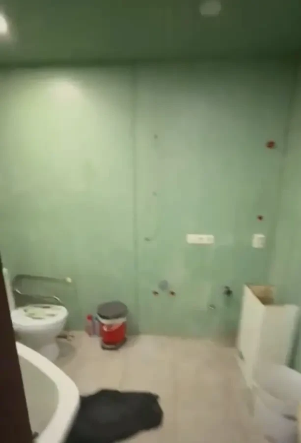 Продам дом в Приднепровске. Два дома на участке 10