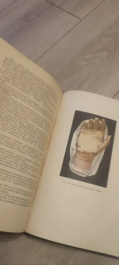 Проф. О. Д. Китайгородская. Учебник детских болезней 9