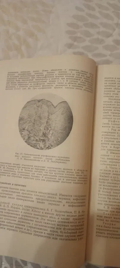 Л. Н. Машкиллейсон Частная дерматология 1965 5