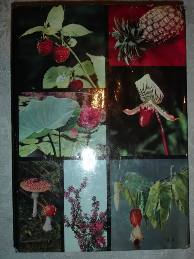 НОВАК Франтишек. ИЛЛЮСТРИРОВАННАЯ ЭНЦИКЛОПЕДИЯ РАСТЕНИЙ. 1982. 591 с. 4