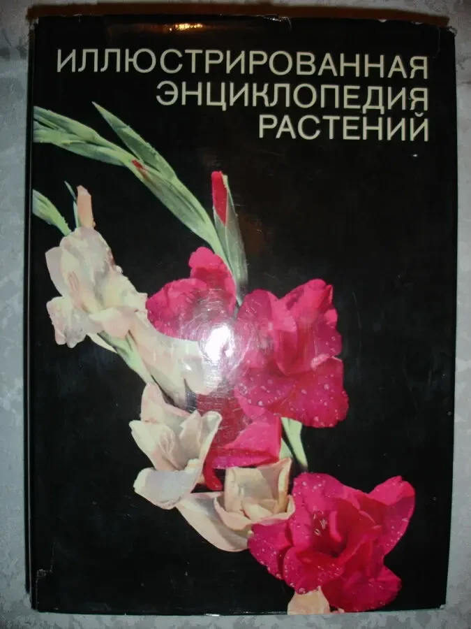НОВАК Франтишек. ИЛЛЮСТРИРОВАННАЯ ЭНЦИКЛОПЕДИЯ РАСТЕНИЙ. 1982. 591 с.