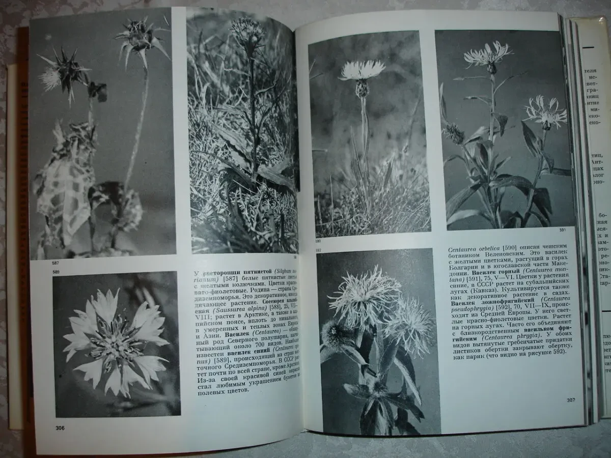 НОВАК Франтишек. ИЛЛЮСТРИРОВАННАЯ ЭНЦИКЛОПЕДИЯ РАСТЕНИЙ. 1982. 591 с. 6