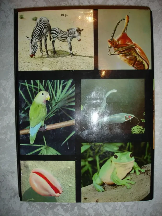 Вацлав Ян СТАНЕК. ИЛЛЮСТРИРОВАННАЯ ЭНЦИКЛОПЕДИЯ ЖИВОТНЫХ. 1988. 612с. 8