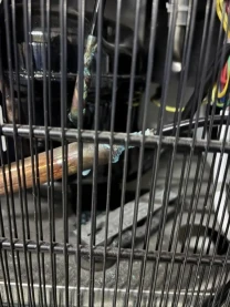 Ремонт холодильників