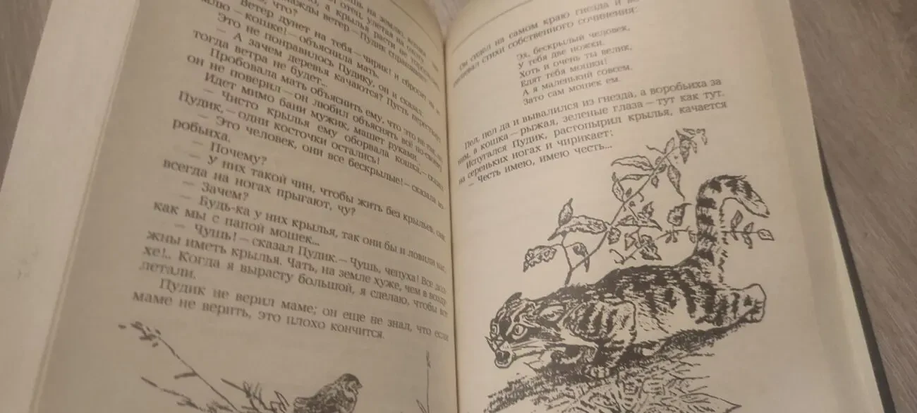 В.Одоевский. Городок в табакерке. сказки русских писателей 3