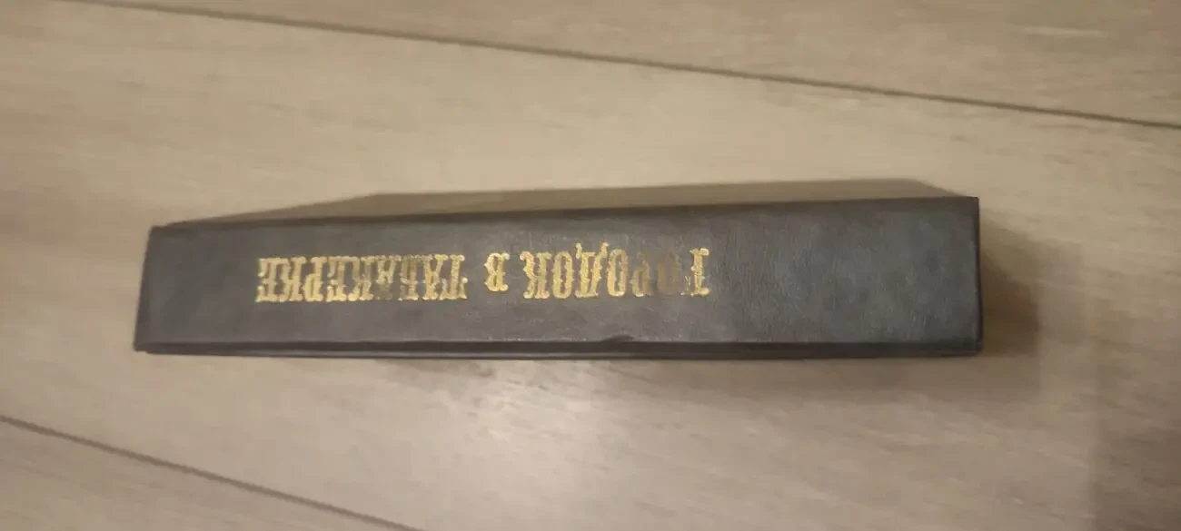 В.Одоевский. Городок в табакерке. сказки русских писателей 5