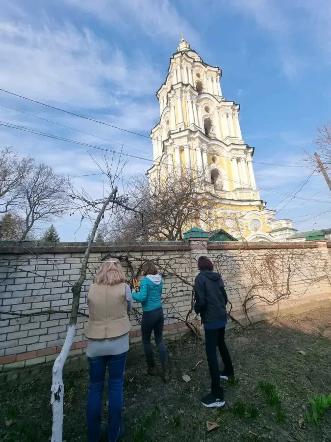допомога по вирощуванні винограду 3