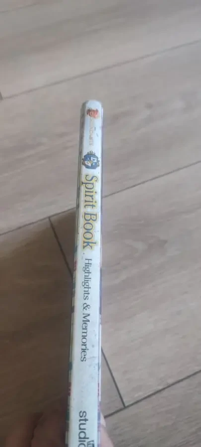 Spirit Book Highlights  Memories Disney Descendants 8