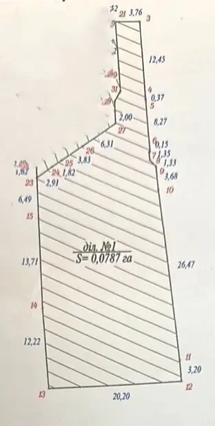 Продам дом. Литовская. Малиновский район. Торг. 10
