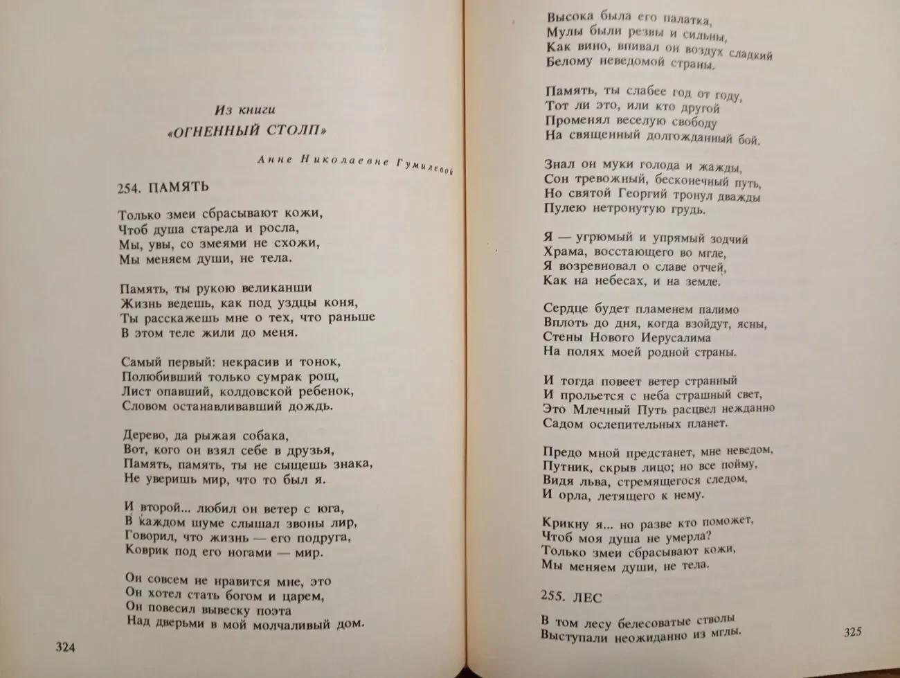 Николай Гумилев - Стихи-поэмы. 6