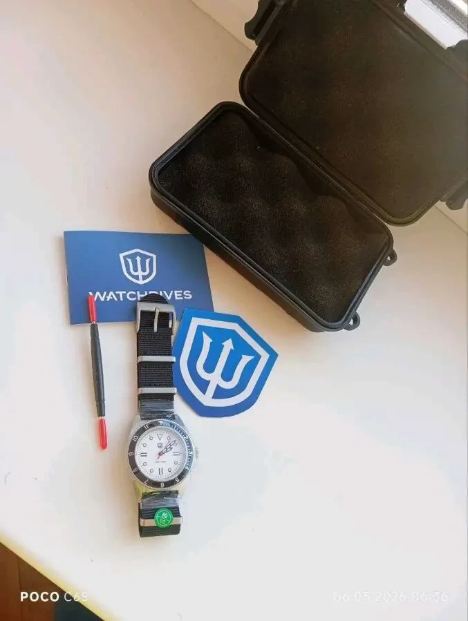 Часы мужские кварцевые Watchdives VH31 5