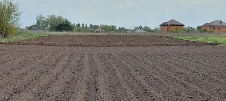Продам ділянку під забудову в Глибокому