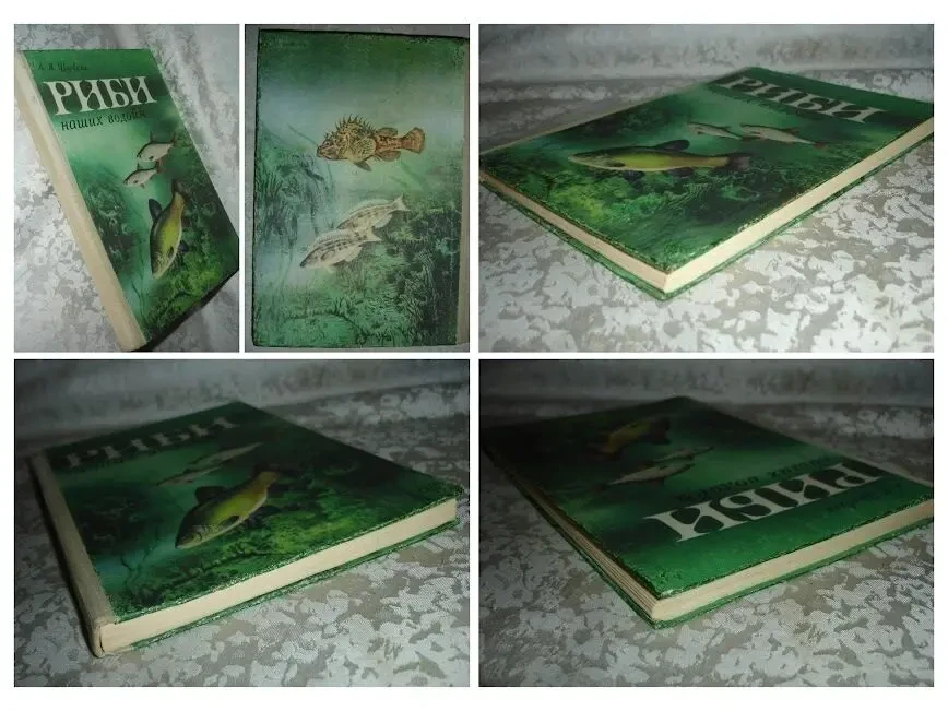 ЩЕРБУХА Анатолій. РИБИ НАШИХ ВОДОЙМ.Київ. 1987, 159 с. іл. 9