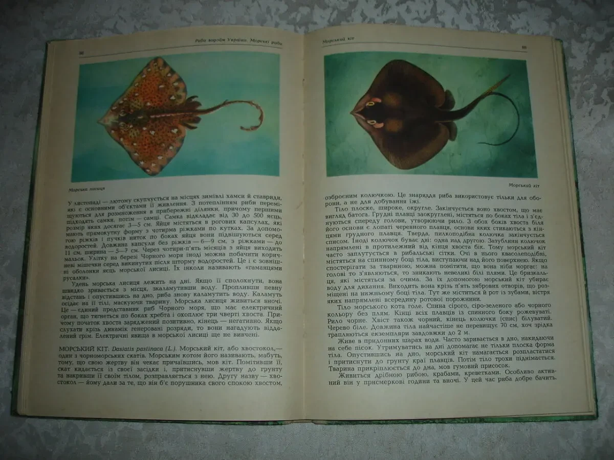 ЩЕРБУХА Анатолій. РИБИ НАШИХ ВОДОЙМ.Київ. 1987, 159 с. іл. 6