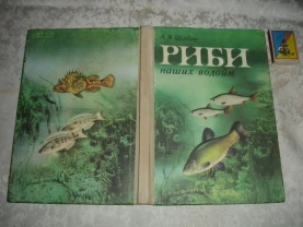 ЩЕРБУХА Анатолій. РИБИ НАШИХ ВОДОЙМ.Київ. 1987, 159 с. іл.