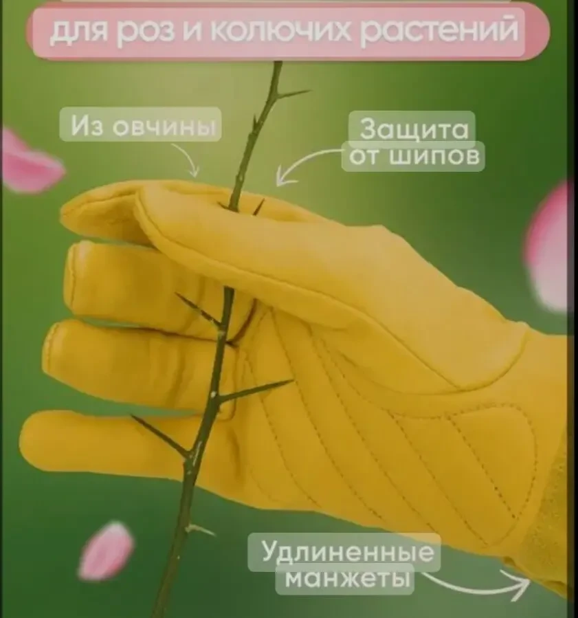 Рукавиці для обрізки троянд та інших колючих рослин 6