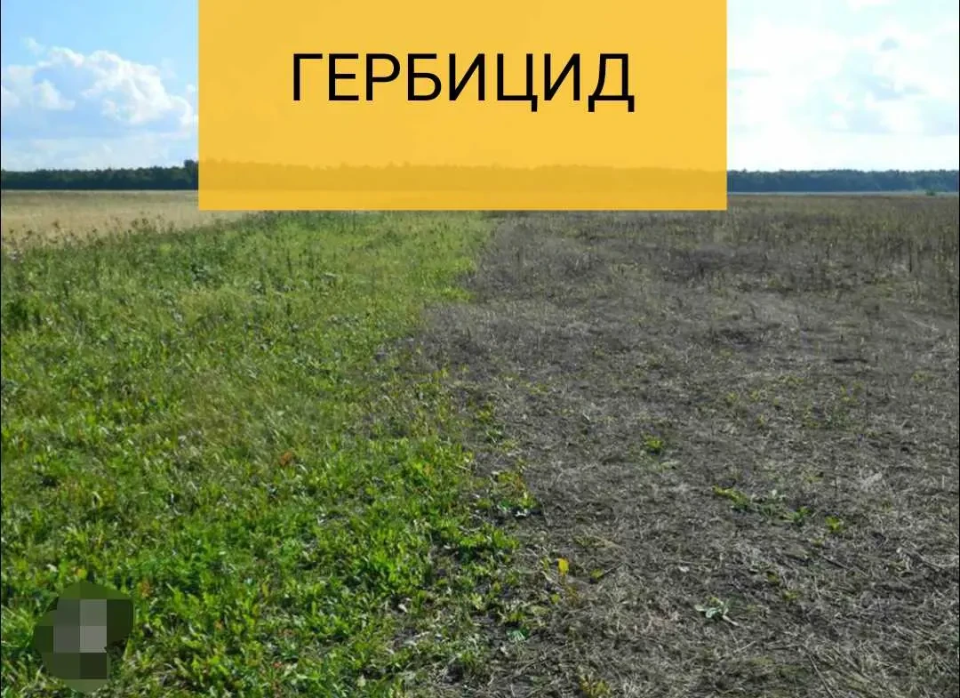 Гербицид