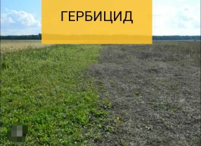 Гербицид