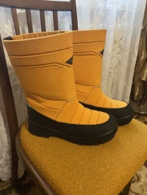 Зимние сапоги женские