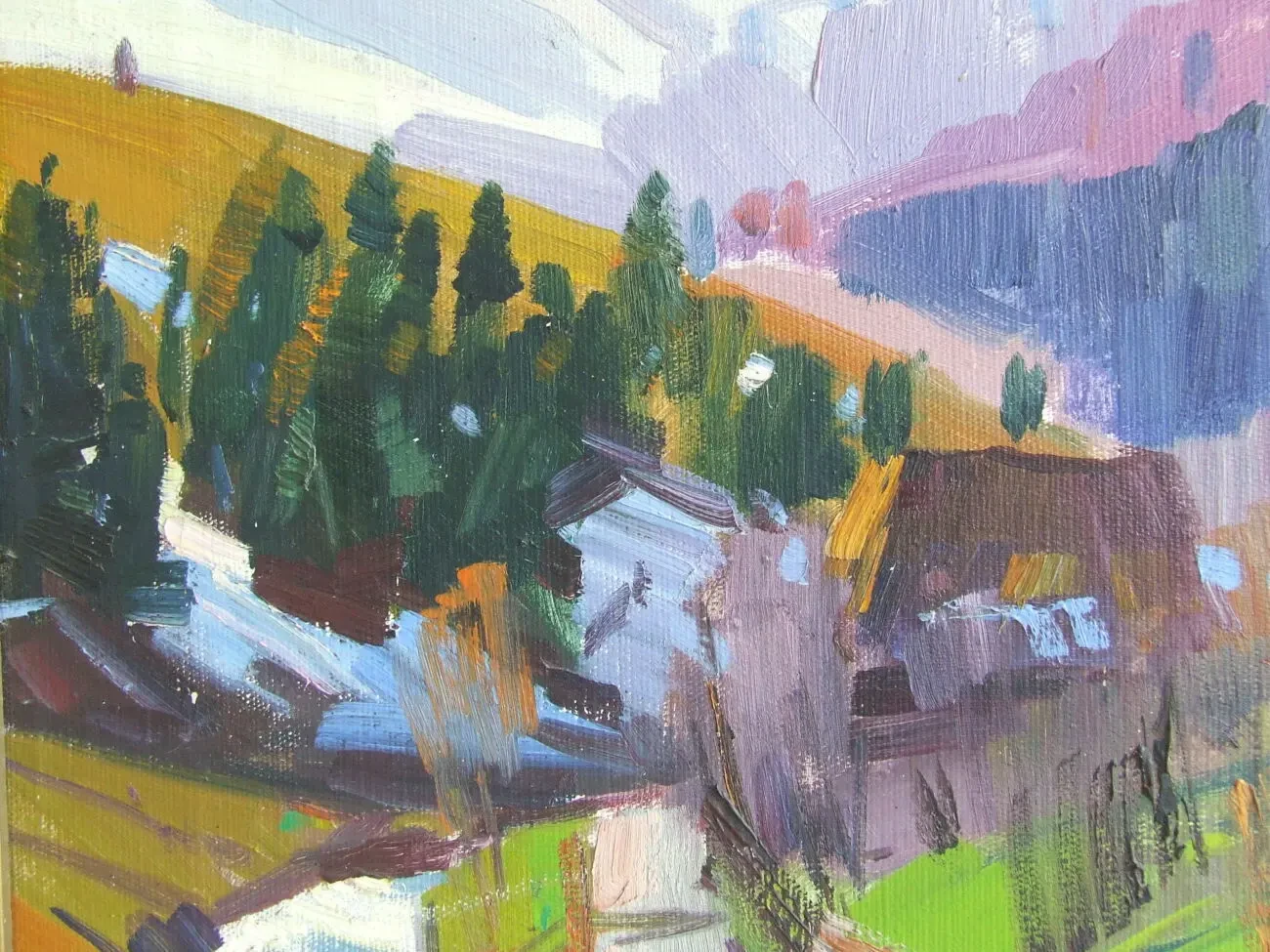 Нар.худ.Укр.Закарпатская школа. Шутєв І. п.о. роз. 65 х 50 см. 1980 р 4